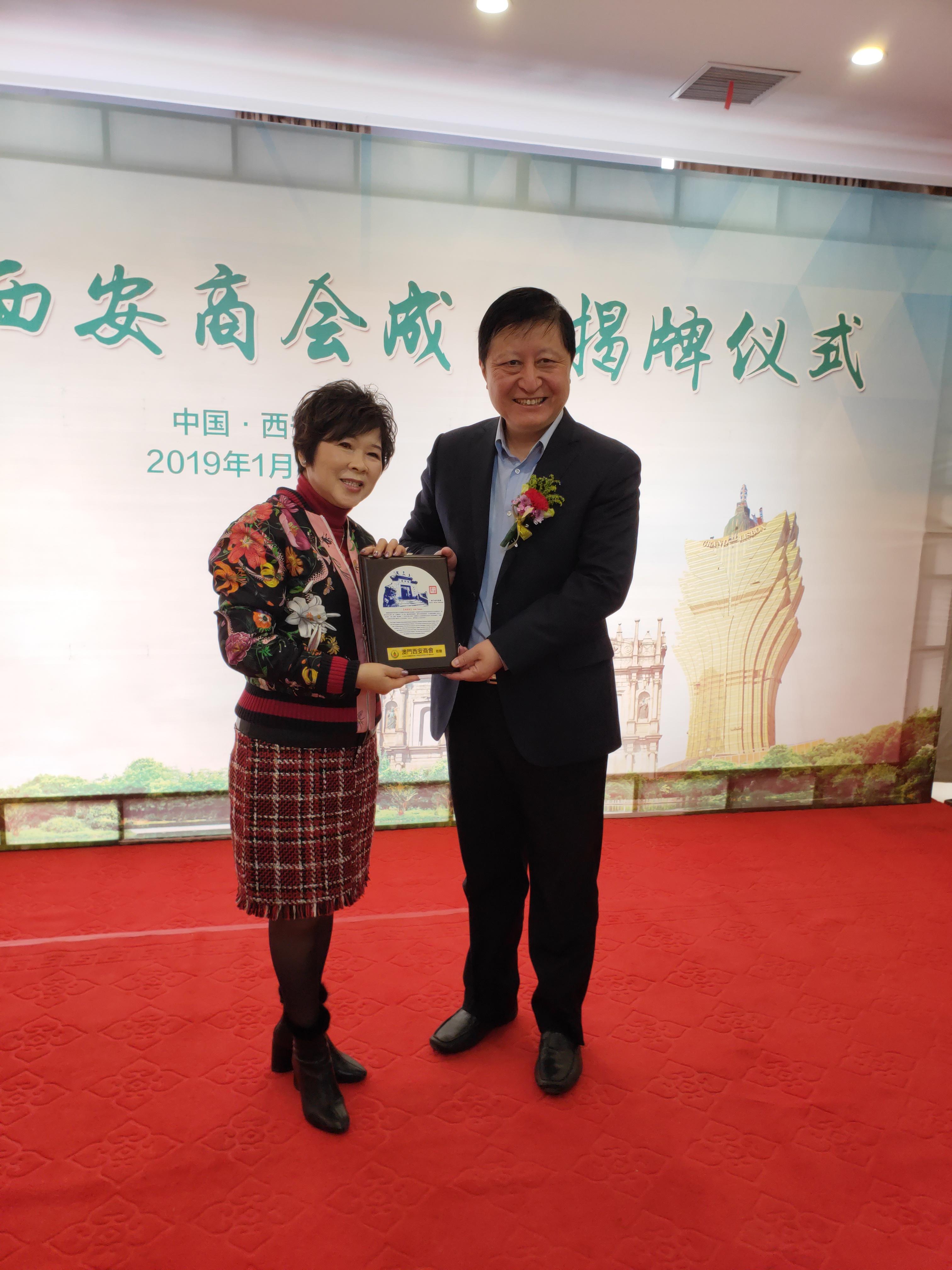 澳门今晚必开一肖，探寻背后的文化魅力与神秘色彩，澳门生肖文化魅力与神秘色彩揭秘，今晚必开一肖探秘